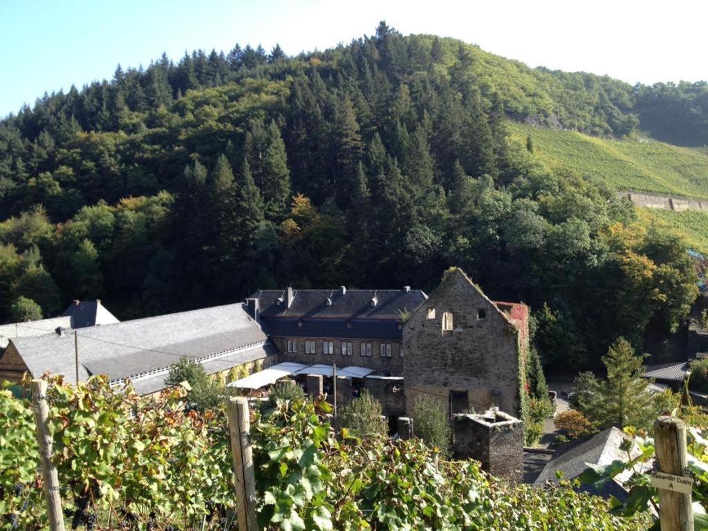 Ferienwohnung Landskroner Blick Bad Neuenahr-Ahrweiler Esterno foto